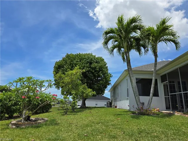 Mature Mango, Fl Avocado, Fig Trees