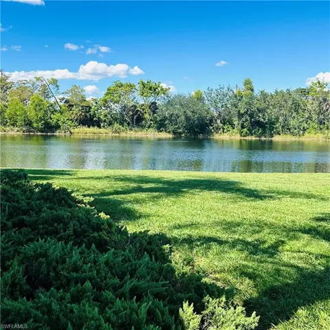 Water view with a forest