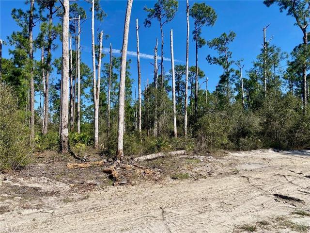 Just clear the lot and build your dream home!
