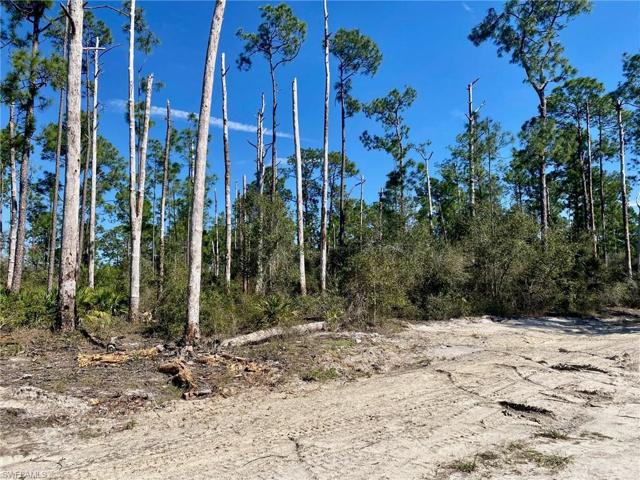 Just clear the lot and build your dream home!