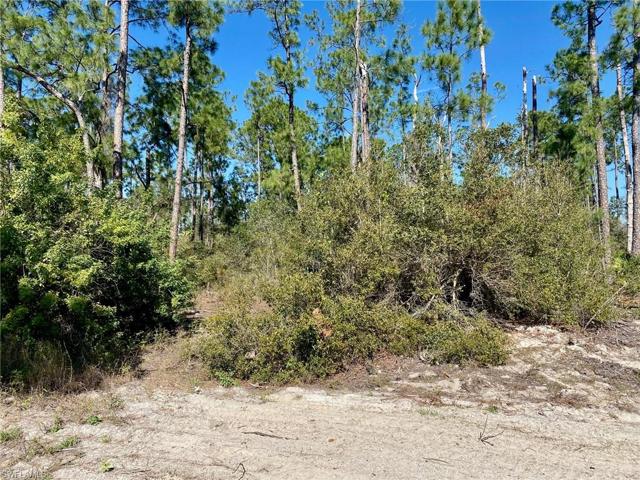 Just clear the lot and build your dream home!