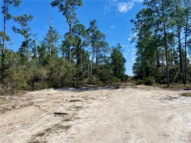 Just clear the lot and build your dream home!