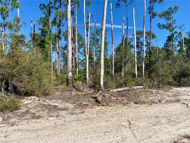 Just clear the lot and build your dream home!