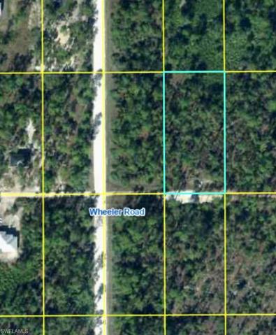 Are you looking for an oversized lot?