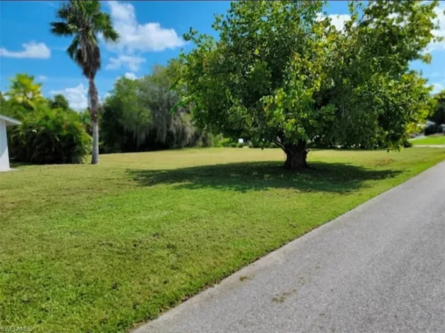 Mulberry Tree located at the front east corner of the property is a producing mulberry tree.