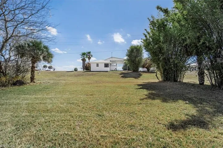 Back yard