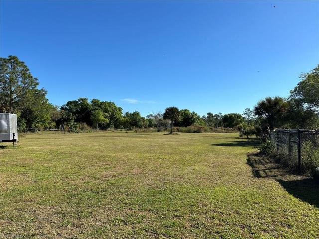 chicken coop and fenced area