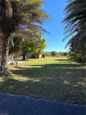 Pond in the back