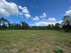 View of local wilderness