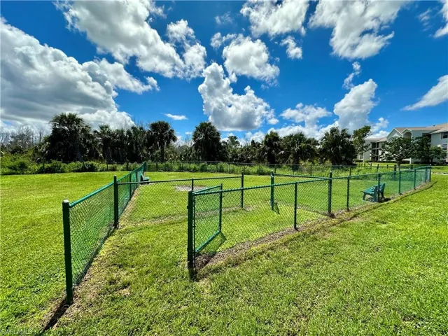 Dog Park