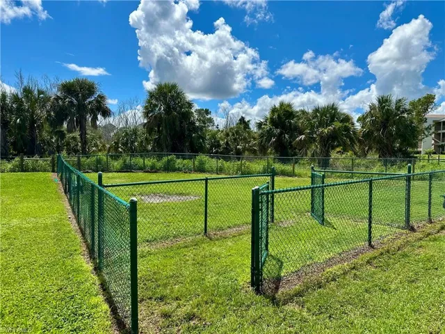 Dog Park