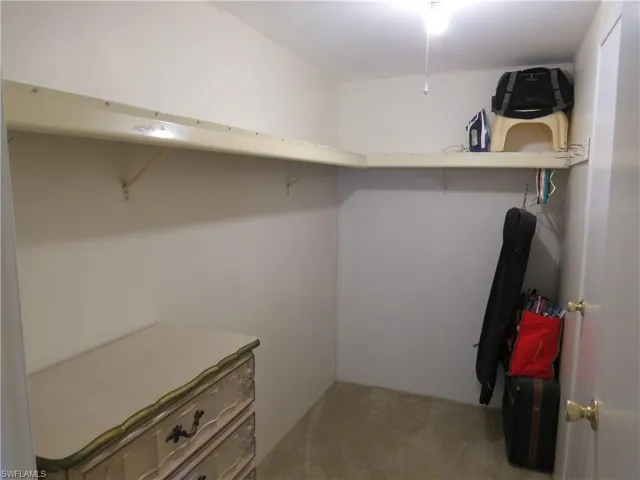 Walk in closet with carpet flooring
