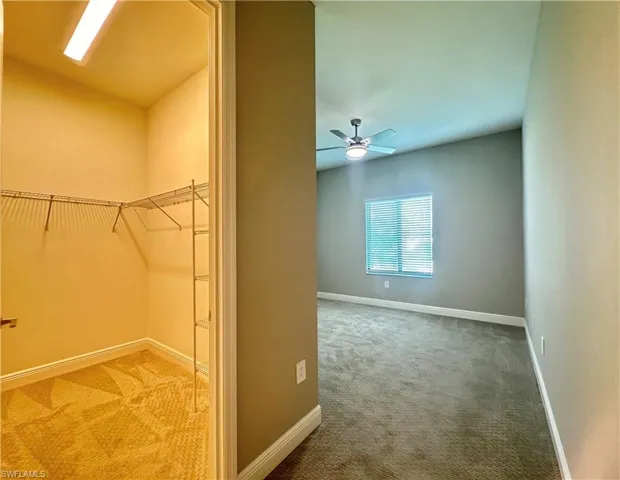 Spacious closet with ceiling fan and carpet floors