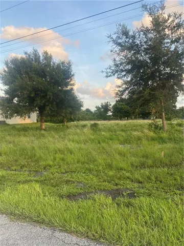 View of nature