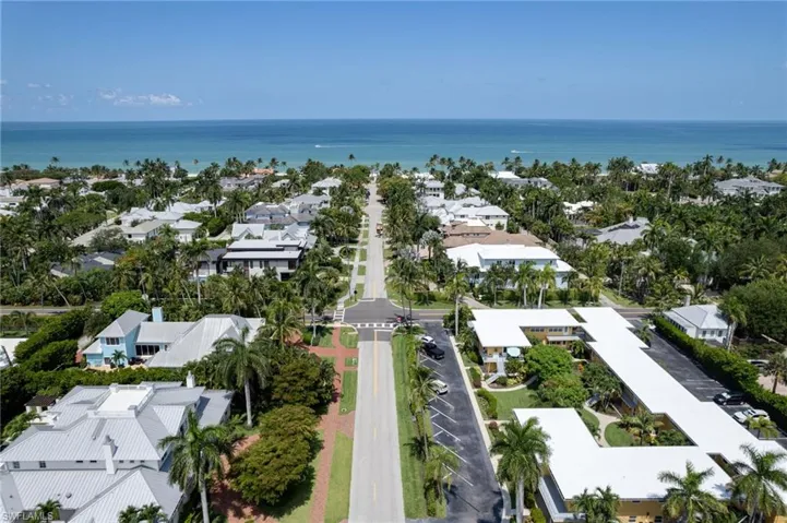 Aerial perspective showcasing a residential area with varied architectural styles, mature palm trees, and direct proximity to the ocean