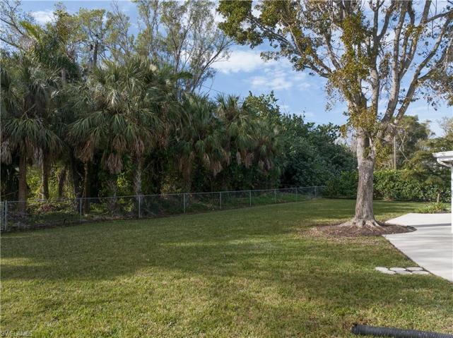 back yard