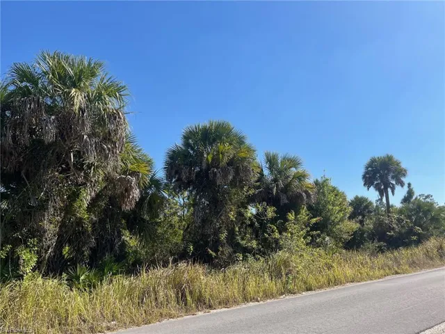 Dove Tree St, Naples, Florida 34117