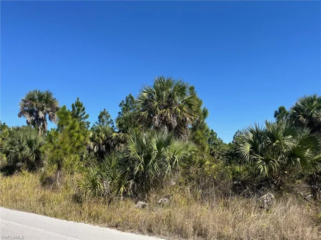 Dove Tree St, Naples, Florida 34117