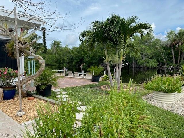 Rear Landscaping
