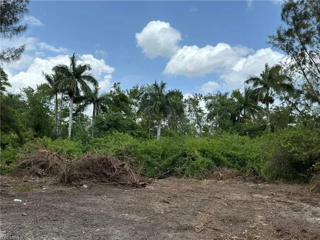 Property has some clearing with path to view land.