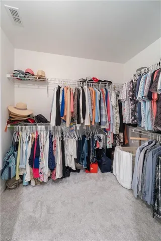 Spacious closet with carpet