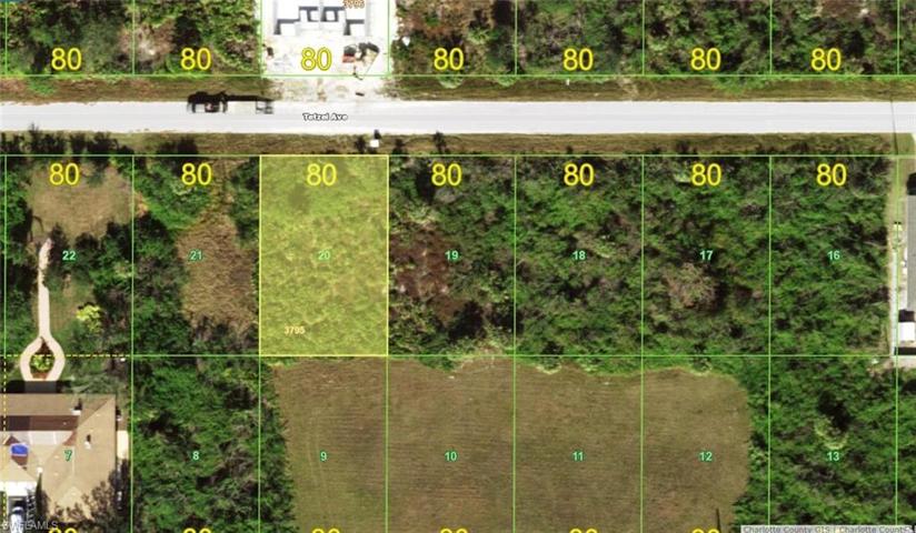 12031  Tetzel  AVE, PORT CHARLOTTE, FL 33981