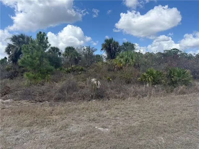 View of nature