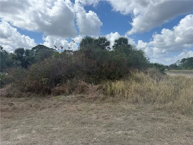 View of undeveloped land