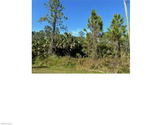 View of local wilderness