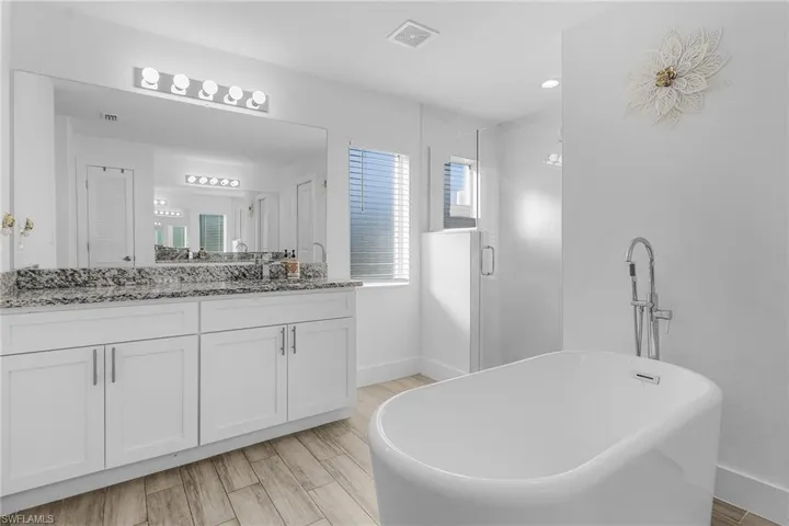 Bathroom featuring vanity and shower with separate bathtub