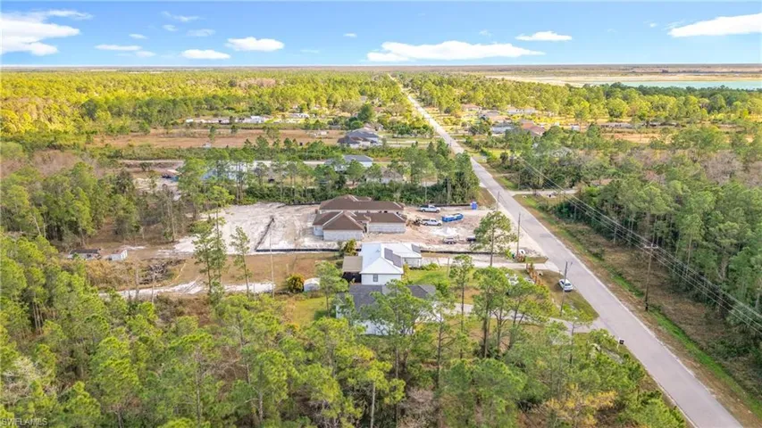 Drone / aerial view of a forest
