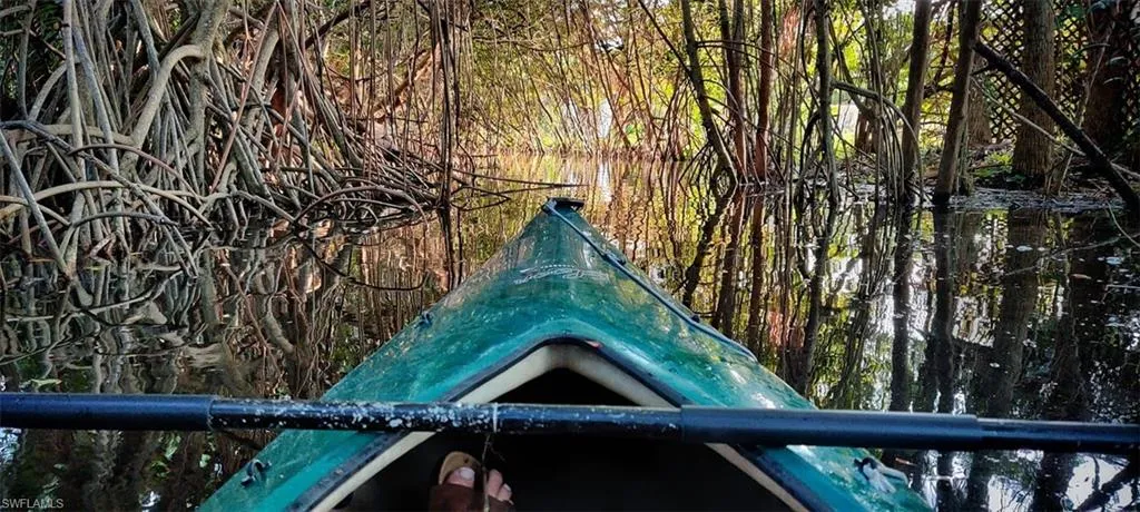 Approach to rear of lot by Kayak