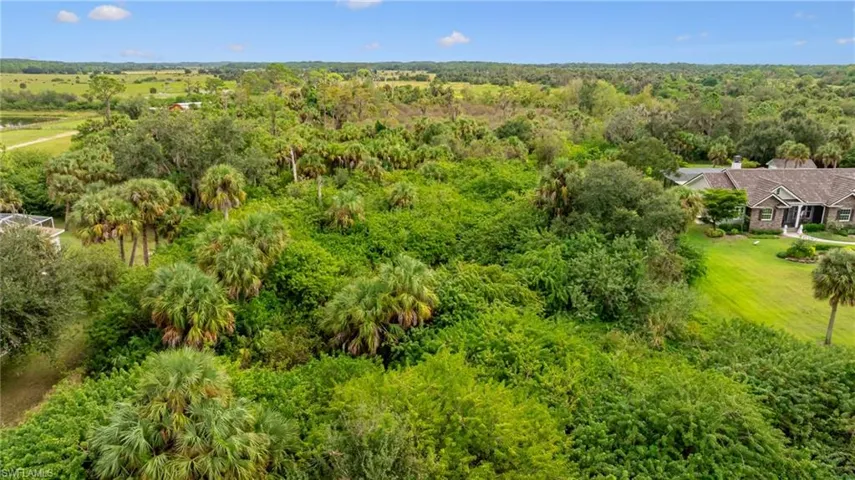 View of subject property with a forest