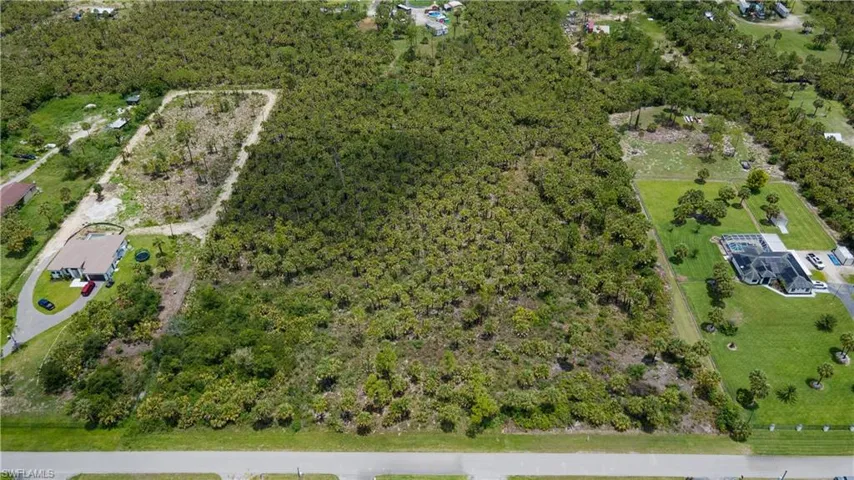 5 acres, beautiful pines