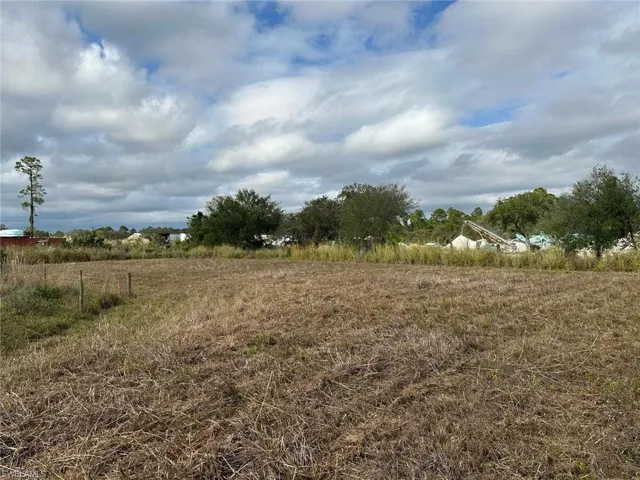 View of local wilderness with a rural view