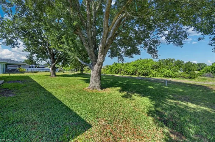 Expansive lawn area featuring mature trees, partial fencing, and a dense natural buffer along the property line