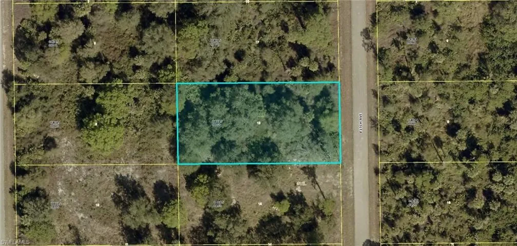907  Fitch  AVE, Lehigh Acres, FL 33972
