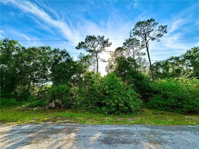 907  Fitch  AVE, Lehigh Acres, FL 33972
