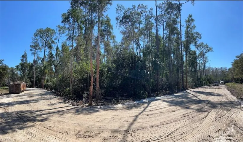 View of dirt / gravel road with a forest view