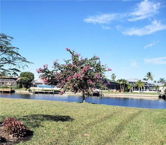 beautiful flowering tree to enjoy in your "park-like" setting around the home
