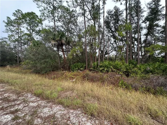 View of nature