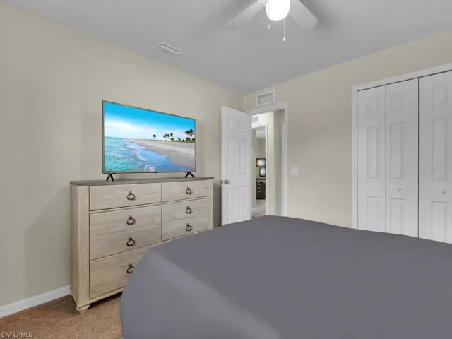 Spacious closet with carpet