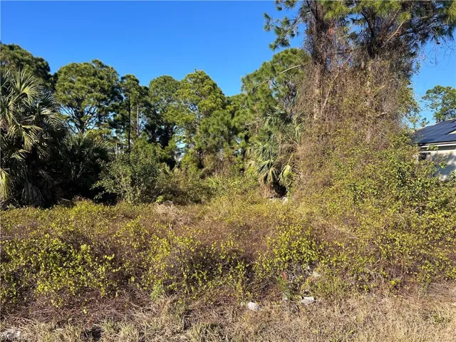 View of nature