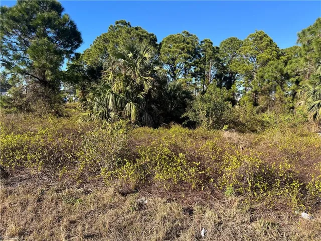 View of nature
