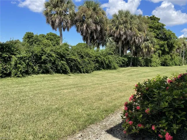 View of grassy yard