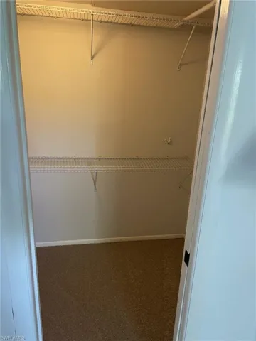 Spacious closet featuring dark colored carpet