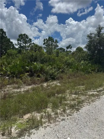 518 Louis Ave, Lehigh Acres, Florida 33972