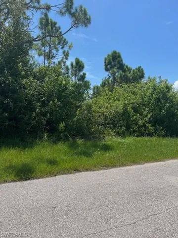 PICTURE OF LOT # 4