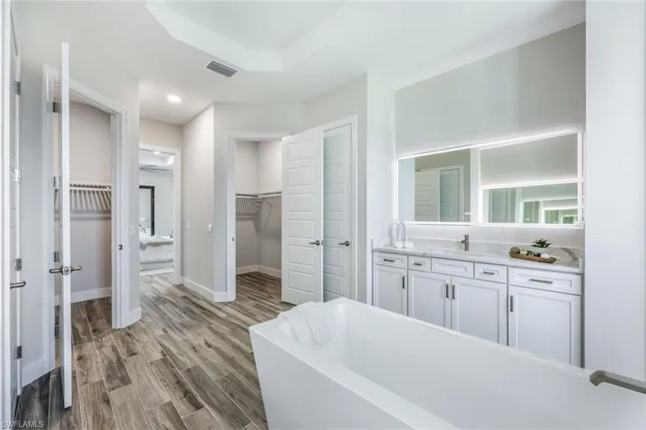 Bathroom with a tub, vanity, a raised ceiling, and hardwood / wood-style flooring