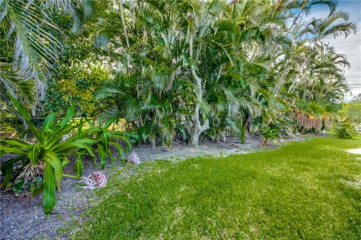 View of grassy yard